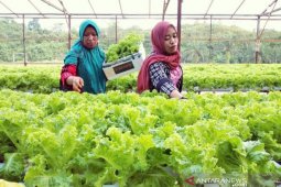 Pemprov Kaltim nilai UU Desa mampu mendorong perkembangan desa