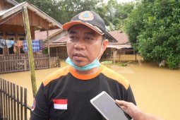 Tujuh dari delapan kecamatan di Balangan terdampak banjir
