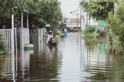 Gubernur Bengkulu galang donasi untuk bencana Kalsel dan Sulbar