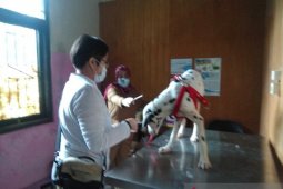 Puskeswan ajak warga manfaatkan Call Center 0877-7335-7422 untuk dapatkan pelayanan dokter hewan