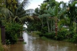 Ratusan kepala keluarga di Babalan Langkat terdampak banjir