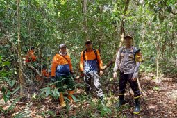Ditemukan bungkus obat pencarian korban hilang di hutan perbatasan
