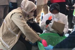 Mensos bantu siapkan makanan nasi bungkus untuk para pengungsi banjir di Jember