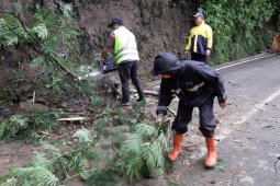 Tanah longsor ganggu akses jalan Kota Batu-Pujon Malang