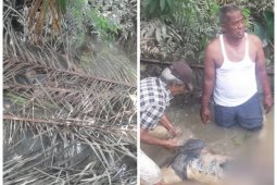 Warga temukan mayat Mr X di Desa Pantai Gemi Stabat, ada luka di leher dan dada