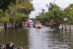 A total of 771 families in Banjarmasin take refuge