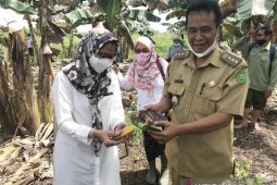 DPTPH Kaltim bantu alsintan untuk Balai Benih Pertanian