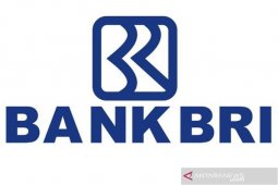 Dirut BRI buka peluang jadikan anak usahanya BRI Agro sebagai bank digital