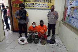 Polisi Bangka Barat ringkus dua pencuri di perkebunan sawit
