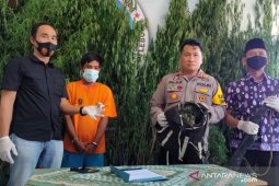 Petani di Rejang Lebong Bengkulu tanam puluhan batang ganja