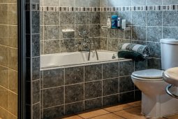 Rajin bersihkan kamar mandi untuk cegah penyakit menular