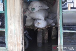 Ribuan ton padi ditaksir ikut terendam musim banjir