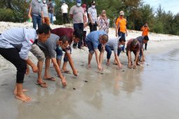 Dukung pelestarian penyu, Bupati Tapteng lepas 115 ekor penyu di pantai Binasi