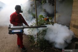 Pengendalian Wabah Demam Berdarah