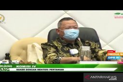 57 kabupaten/kota belum terbitkan SK pupuk subsidi, termasuk di Kalbar
