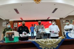Polda Sumbar ungkap kasus jual beli satwa dilindungi