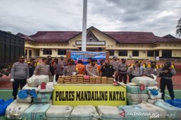 Polres Madina amankan tiga kurir ganja antarprovinsi, barang buktinya ada juga senjata rakitan