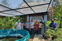 Dosen UMM "kawinkan" teknologi solar cell dan biona untuk budi daya ikan lele