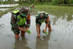 Kodam Udayana dorong ketahanan pangan saat pandemi di wilayah Bali-Nusra