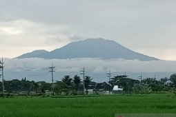 Gunung Raung bergemuruh, BPBD Jember pantau kawasan rawan bencana erupsi