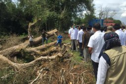 Hindari bencana, ini ajakan Gubernur Aceh kepada masyarakat