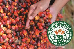 Terkendala teknis, GAPKI tetap komitmen bantu percepatan vaksinasi di HSS