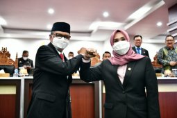 Optimalisasi APBD seimbangkan kesehatan dan kesejahteraan masyarakat