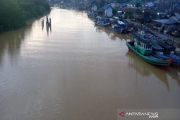Dampak PETI Batang Natal, Buaya sering muncul kepermukaan