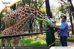 Taman Margasatwa Ragunan buka dengan protokol kesehatan