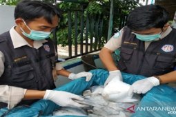 BKIPM Jambi dan Polres Tanjabar awasi lalu lintas perikanan