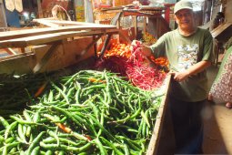 Harga cabai rawit di pasar tradisional Jember masih fluktuatif