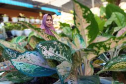 Penjual tanaman hias keluhkan mulai sepi pembeli