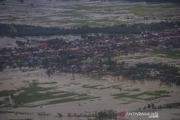 Puluhan Ribu Hektare Lahan Sawah Terdampak Banjir
