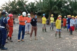 Atensi DPRD, marak karyawan sawit terpapar COVID-19