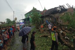Sejumlah pohon tumbang diterpa angin kencang di Blitar