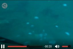 Ini penampakan bawah laut di lokasi jatuhnya pesawat Sriwijaya Air SJ-182