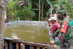 Babinsa di Aceh Utara bina warga budidaya ikan nila