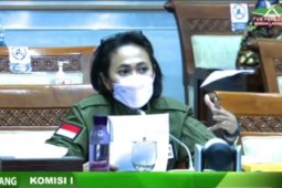 Anggota DPR: pers miliki peran strategis di era "banjir" informasi