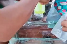 Batu meteor jatuh di Lampung Tengah