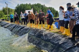 KKP sebut sekolah vokasi turut dukung produksi udang nasional