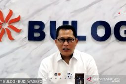 Tahun ini, Bulog dapat penugasan impor kerbau India 80.000 ton