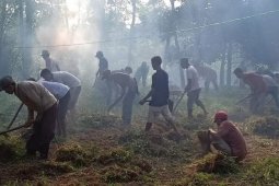 Padat karya tunai di Batanghari tingkatkan daya beli masyarakat