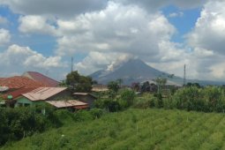 Gunung Sinabung luncurkan awan  panas guguran sejauh 2.500 meter