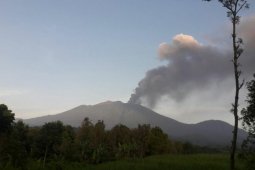 PPGA: Abu vulkanik akibat letusan Raung capai 2.000 meter