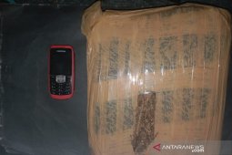 Transaksi ganja sekilo ke Sipirok gagal, warga Padangsidimpuan keburu ditangkap Polisi