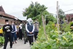 Gubernur Khofifah Tinjau Kampung Tangguh Semeru