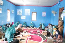 PKK HSS bina peningkatan kualitas keluarga daerah Desa Badaun