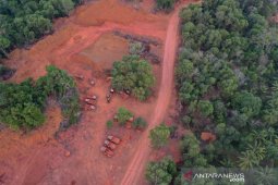 Aktivis lingkungan desak perusahaan reklamasi lahan pascatambang