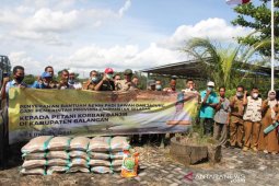 Kepala DTPH Kalsel salurkan bantuan kepada petani di Balangan