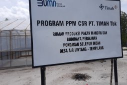 PT Timah menyalurkan 10 ribu udang galah bantu warga Air Lintang